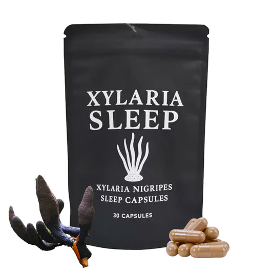 Xylaria Mushroom: GABA-Boosting Fungi for Sleep & Brain Health