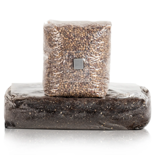 Spore Research: What Is The Best Tool For The Job?