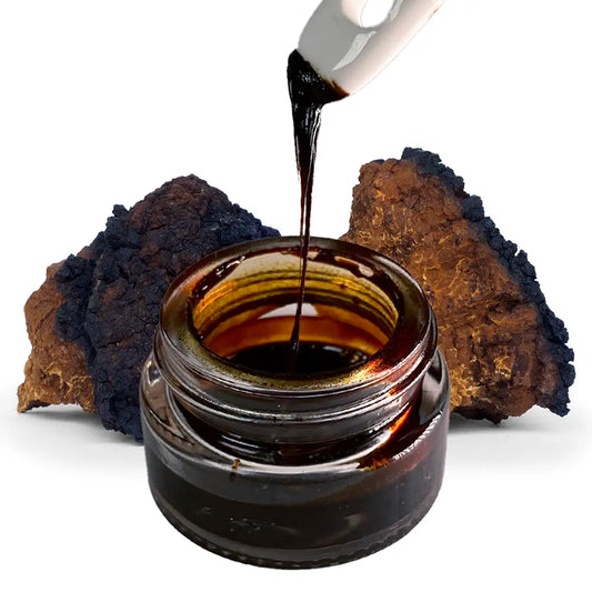Chaga Mushroom Resin Extract
