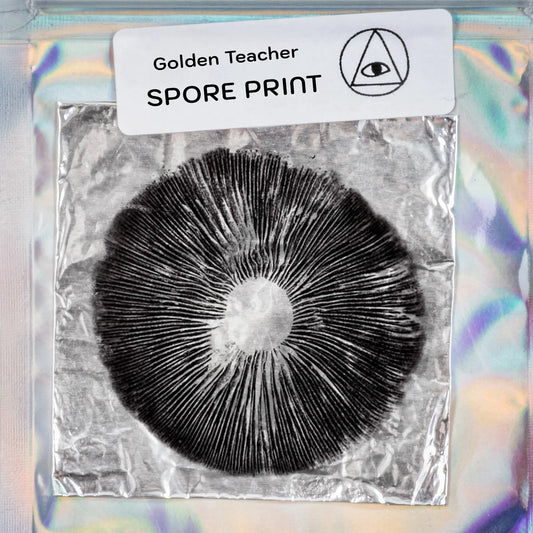 Spore Prints