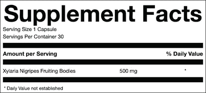 Xylaria Sleep Support – 30 Capsules